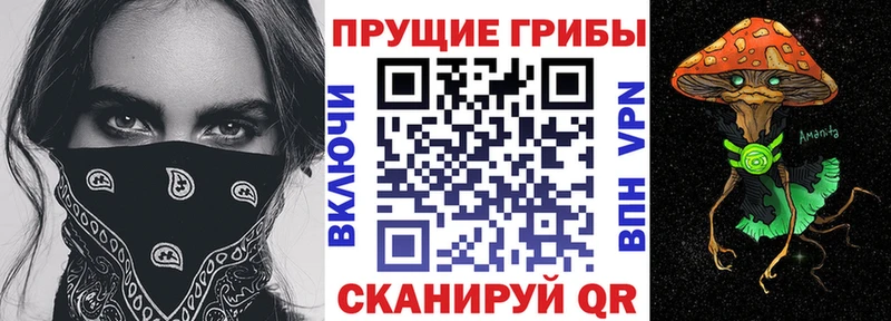 Галлюциногенные грибы Magic Shrooms  Новый Оскол 